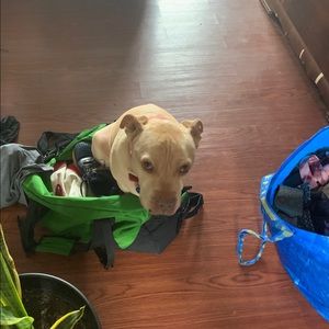 Meet your Posher, Robert